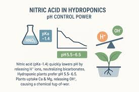 Boost Plant Growth by Using Nitric Acid for pH Control