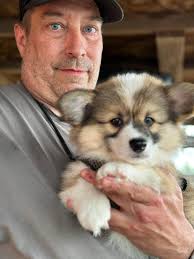 Introducing Dwalin, the new family member