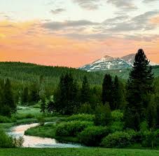 chloeV @chloev09793487 - Twitter Profile | Sotwe