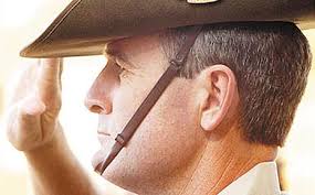 Two army reservists receive rare honour