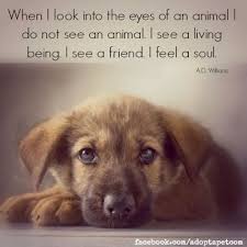 10 Positive Quotes That Will Make You Want To Hug Your Pet Immediately Dog Quotes Inspirational Animal Quotes Dog Quotes Love