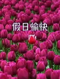假日愉快。。。 - 爆廢公社| 爆料公社