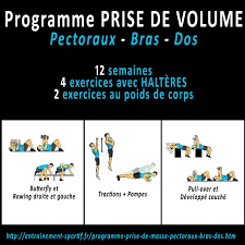 Programme entrainement prise de masse objectifs : Facebook