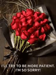 We did not find results for: Flowers That Mean I M Sorry Gifs Tenor