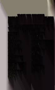 Journal of proceedings of the City-County Council of Indianapolis-Marion  County, State of Indiana from ...