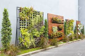 artificial wall plant