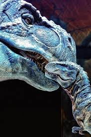 Wallpaper Prehistoric Animals Dinosaur Mother And Child 1920x1440 Hd Picture Image Ouça músicas do artista familia dinossauro. wallpaper prehistoric animals dinosaur