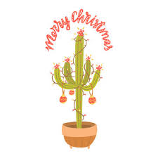 And there you have it! 2 143 Best Cactus With Christmas Lights Images Stock Photos Vectors Adobe Stock
