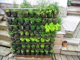 Make A Vertical Garden Using Repurposed 2 Liter Plastic Bottles Garden Layout Vegetable Indoor Vegetable Gardening Home Vegetable Garden
