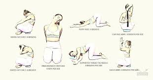 Pin On Yoga