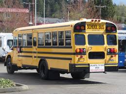 Image result for Federal Standard Yellow 1969 Bluebird