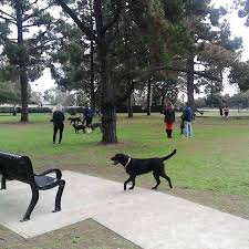 Your new best friend is waiting! Parks Places For Kids In The Long Beach Ca Area Hulafrog Long Beach Ca