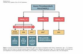 Image result for CHAD Score
