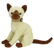 Pin On Michaela S Kitten Chart