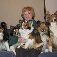 Dog boarding, dog walking, house sitting Tlc Pet Cottage 10 Photos Pet Sitting 8390 Morris Rd Hilliard Oh Phone Number