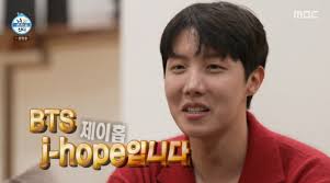 BTS J-Hope, WALKLE certified super luxurious L.A. home open swimming p