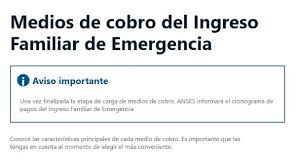Para quienes necesitan solicitarlo, el trámite se realiza www.ingresodeemergencia.cl. Ya Pueden Indicar Medio De Pago Los Beneficiarios De Ife Mejor Informado