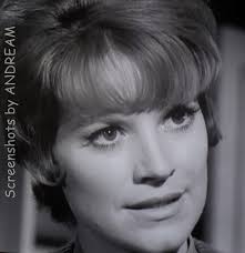  Julie Sommars B 1940 Stranger In The Mirror 1965 The Fugitive Tv Series Star David Stranger