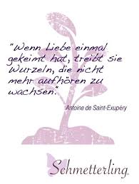Trauspruch Fur Die Hochzeit Schone Zitate Zum Thema Liebe Heiraten Www Schmetterling Brautkleid D Spruche Hochzeit Zitate Hochzeit Zitate Zum Thema Liebe