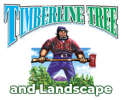 We are a professional tree care company offering expert advice on the health and safety of trees. Utah Professional Tree Landscape Snow Removal In Salt Lake City Utah Timberline Trees And Landscaping Salt Lake City Utah S Tree Service And Landscaping Experts