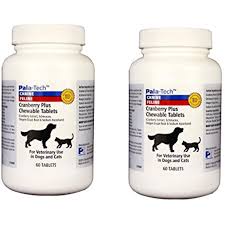 Cranberries are rich in various healthy vitamins and plant compounds, some of which are effective against urinary tract infections (utis). Pala Tech Cranberry Plus 60 Chewable Tablets For Dogs Cats Pet Supplements Cat Health Dog Cat