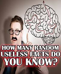 Built by trivia lovers for trivia lovers, this free online trivia game will test your ability to separate fact from fiction. Pin On Card Making