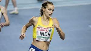 From wikimedia commons, the free media repository. 2lk0qagzaaxh5m