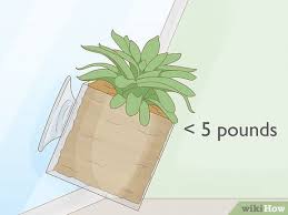 You could see the top how to hang plants from ceiling of 2020 above. Easy Ways To Hang Plants Without Holes 8 Steps With Pictures