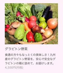 ゼロ次郎 on X: 「グラビトン野菜」なるものを取り扱ってるサイト思い出した。最近はグラビトンまな板も売っているらしい。  t.co0gFNMtjnQO t.coz4GJKQ1m7P  X