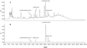 A Full Utilization Of Rice Husk To Evaluate Phytochemical