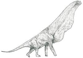 Perhaps the cave man wanted to decorate the cave and chose animals because they were important to their existence. Giraffatitan And Its Dewlap Prehistoric Animals Prehistoric Wildlife Prehistoric Creatures