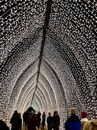 Lightscape At The Chicago Botanic Gardens My Petite Joys Chicago Botanic Garden Botanical Gardens Petite Joys