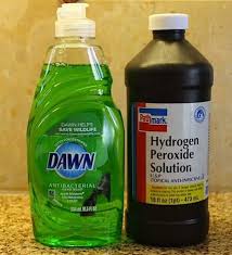 Bissell Antibacterial 2 In 1 Carpet Cleaner Best Stain Remover 1 Part Dawn Dishwashing Liquid 2 Parts Hydrogen Peroxide Cleaning Cleaning Hacks Cleaning Recipes