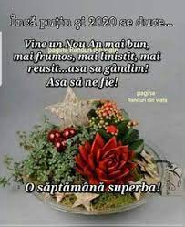Pentru scurtarea timpului de fierbere ciorba de burtă se poate prepara in oala. 130 FelicitÄri De Anul Nou Ideas In 2021 FelicitÄri De Anul Nou FelicitÄri UrÄri De Anul Nou