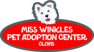 In 1949, spcala opened the everything old is new again, and now our charming 40's shelter has been renovated and will serve as a new pet adoption center for the heart of los angeles! Pets For Adoption At Miss Winkles Pet Adoption Center Clovis In Clovis Ca Petfinder