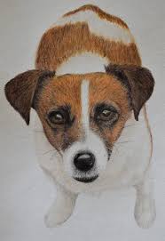 This unique gift will make a great conversation piece in any home, or a gift that will never be forgotten. Bevan S Pet Portraits Home Facebook