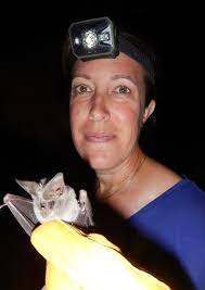 THE ARIZONA WILDLIFER The President's Message