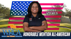 Profile Picture of Gamaliel Sitorus - Palm Tree LLCon Google