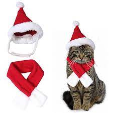 Pet Dog Cat Santa Claus Hat Scarf Red Costume Suit Set Pet Christmas Decor S Details Can Be Found By Cli Christmas Dog Costume Pet Costumes Cat Santa Hat