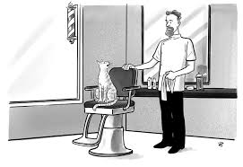 Listen to the audio pronunciation in several english accents. Greek To Me By Mary Norris The New Yorker