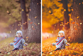 This purchase includes a pack of 4 lightroom presets. Fall Lightroom Presets Free Collection