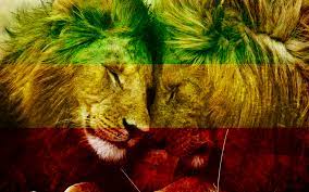 Pin On Lion Zion