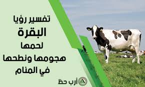 رؤية الزوج في المنام لها دلائل وتفسيرات مختلفة. Ø­Ù„ÙŠØ¨ Ø§Ù„Ø¨Ù‚Ø± ÙÙŠ Ø§Ù„Ù…Ù†Ø§Ù… ØªÙØ³ÙŠØ± Ø­Ù„Ù… Ø±Ø¤ÙŠØ© Ø§Ù„Ø¨Ù‚Ø± ÙˆØ­Ù„ÙŠØ¨ Ø§Ù„Ø¨Ù‚Ø±Ø© ÙÙŠ Ø§Ù„Ù…Ù†Ø§Ù… Ù„Ø§Ø¨Ù† Ø³ÙŠØ±ÙŠÙ†