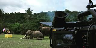 Uquiz.com is a free online quiz making tool. Quiz Students Which Netflix Documentary Should You Watch This Summer Study International