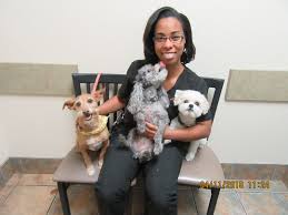 Our veterinary hospital in columbus, georgia is pleased to focus on keeping routine veterinary care afforable for animals in columbus & surrounding area. Veterinarians Weigh The Choice To Stay Small Or Join The Giants Cornell University College Of Veterinary Medicine