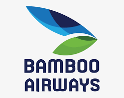 Bamboo Airways Brand Logo Png Logo Bamboo Airways Vector 500x572 Png Download Pngkit Free vector icons in svg, psd, png, eps and icon font.