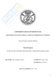 Attività motorie e sportive riferite all'età evolutiva, agli anziani. Il Ruolo Del Sistema Nervoso Nell Ipertrofia Muscolare Tesi Di Fisiologia