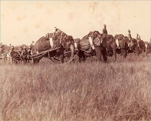 This historical photograph captures an elephant battery of the British Indian Army moving a heavy artillery siege train. Taken in Secunderabad, India, around 1896, this image documents a unique era where traditional