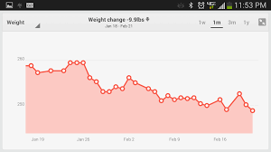 end of week 4 stats progress calorie warrior