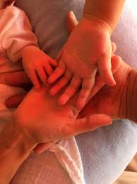 Dušan grujić je predsednik partizana 22 godine i kaže da je to klub koji đoković „drži u svom srcu. Jelena Djokovic Jecadjokovic86 Twitter